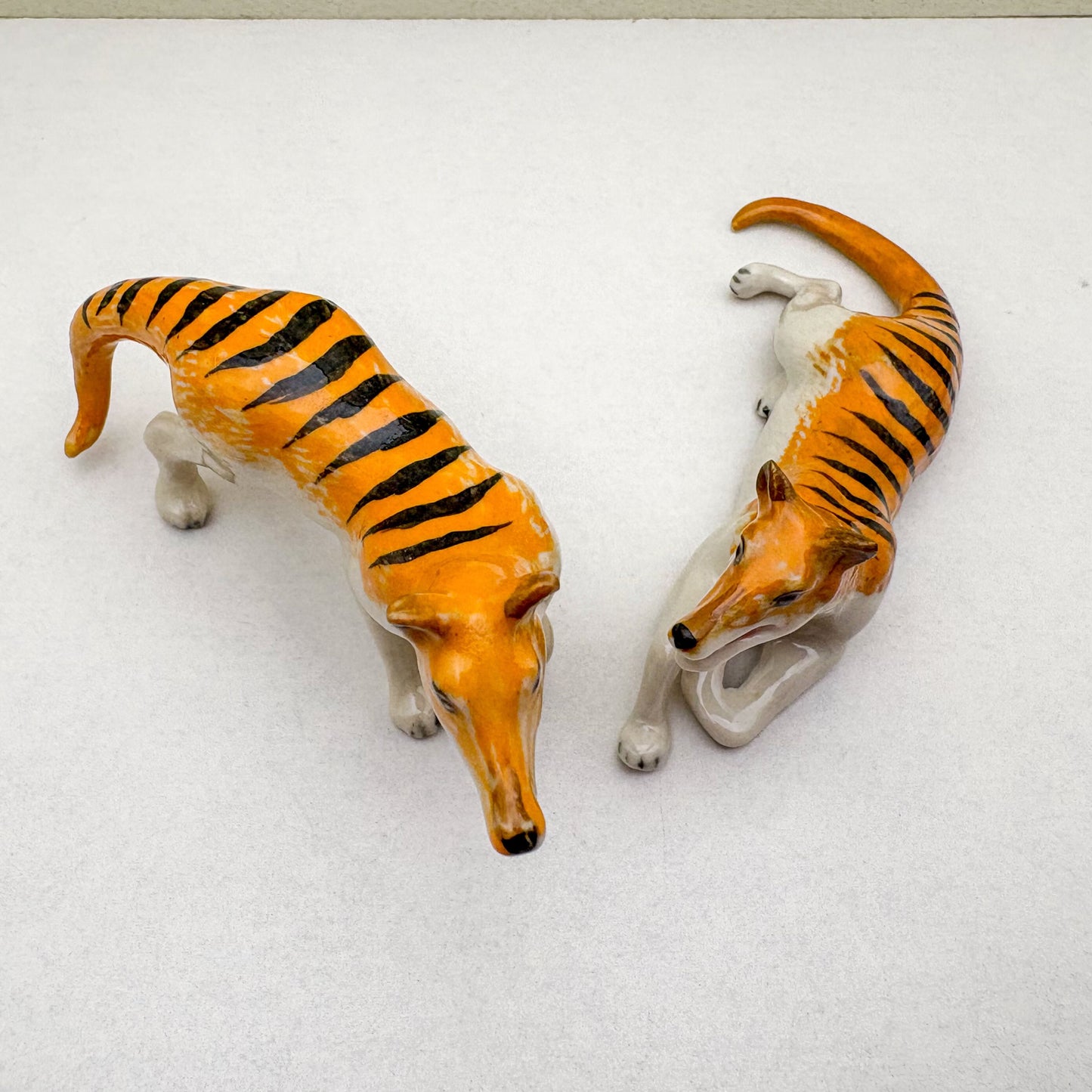 2 Thylacine Tasmanian Tigers