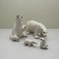 Arctic Companions