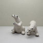 Arctic Companions