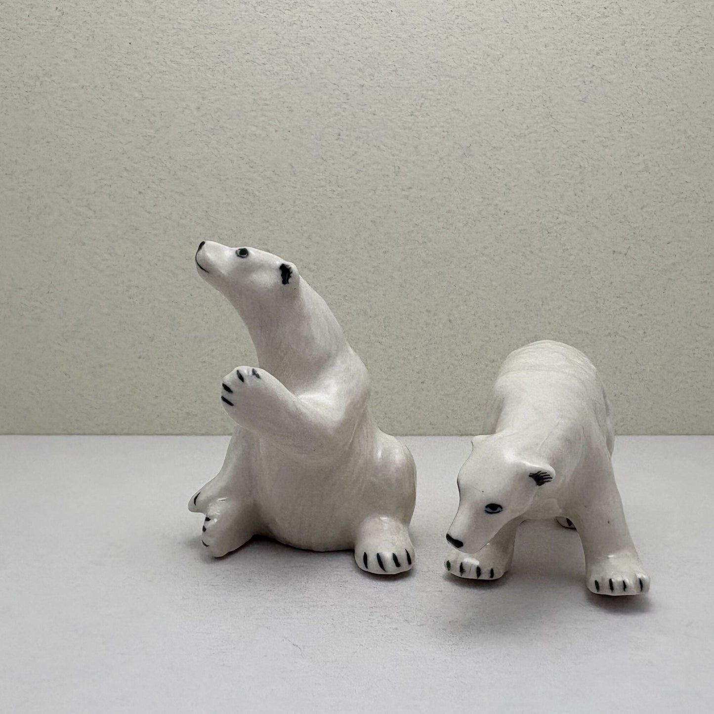 Arctic Companions