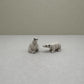Arctic Companions