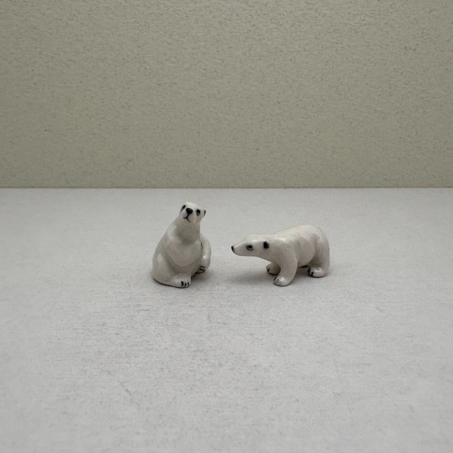 Arctic Companions