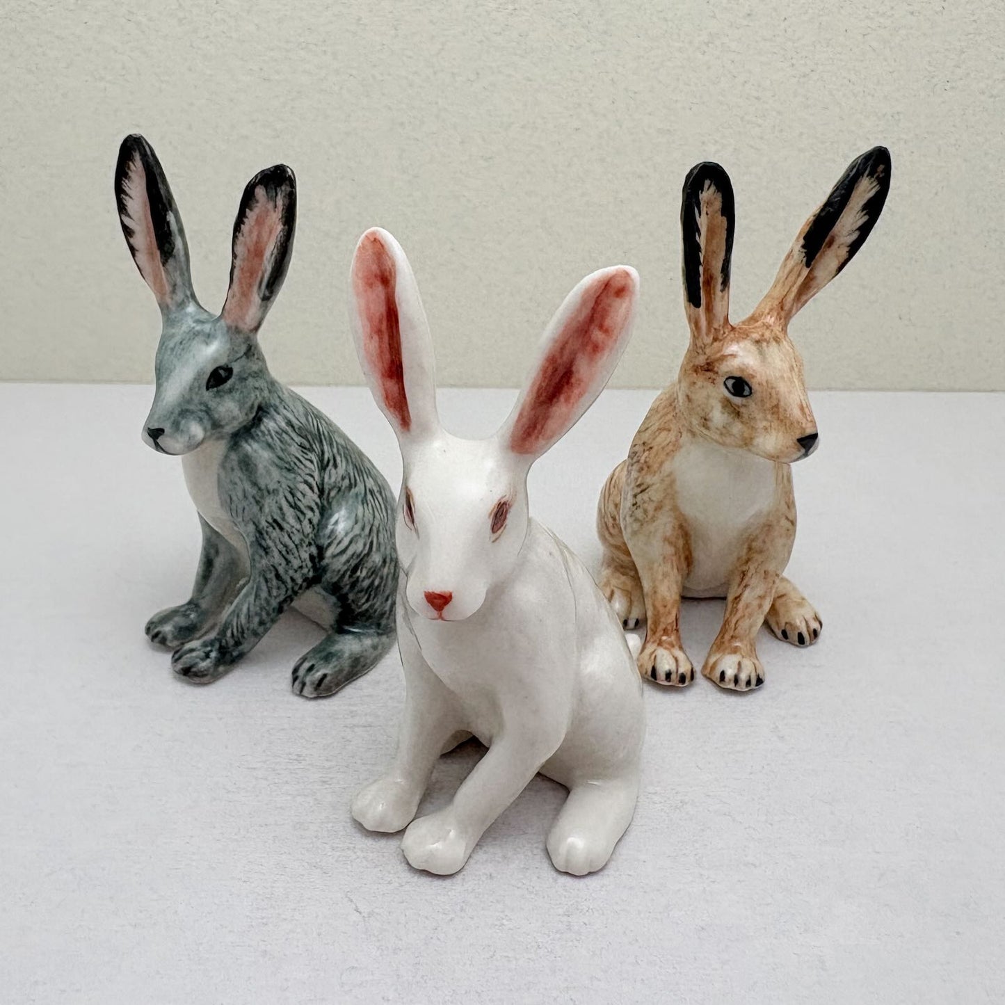 Alert-Eared Sitting Hare