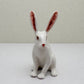 Alert-Eared Sitting Hare