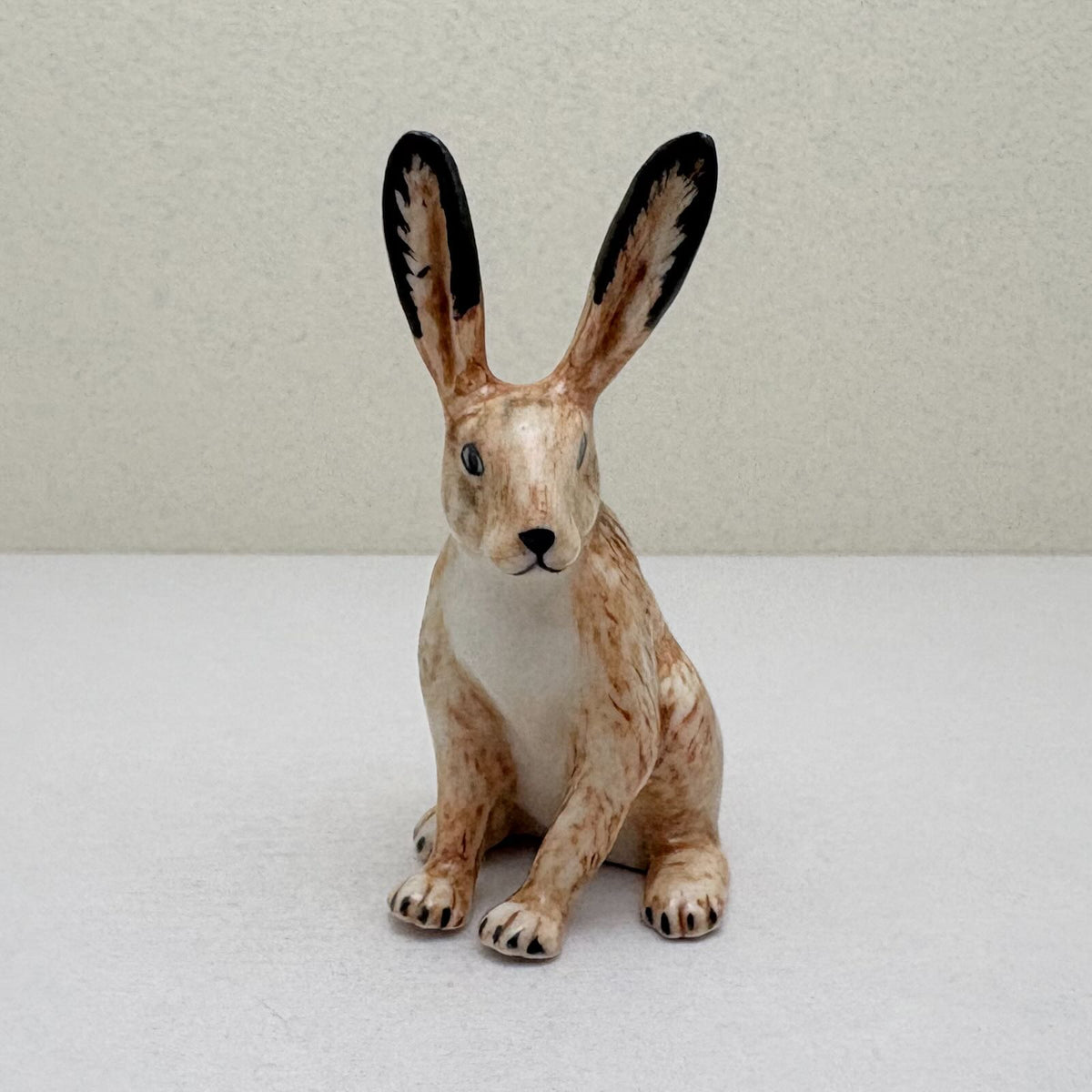 Alert-Eared Sitting Hare