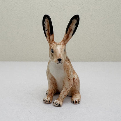 Alert-Eared Sitting Hare