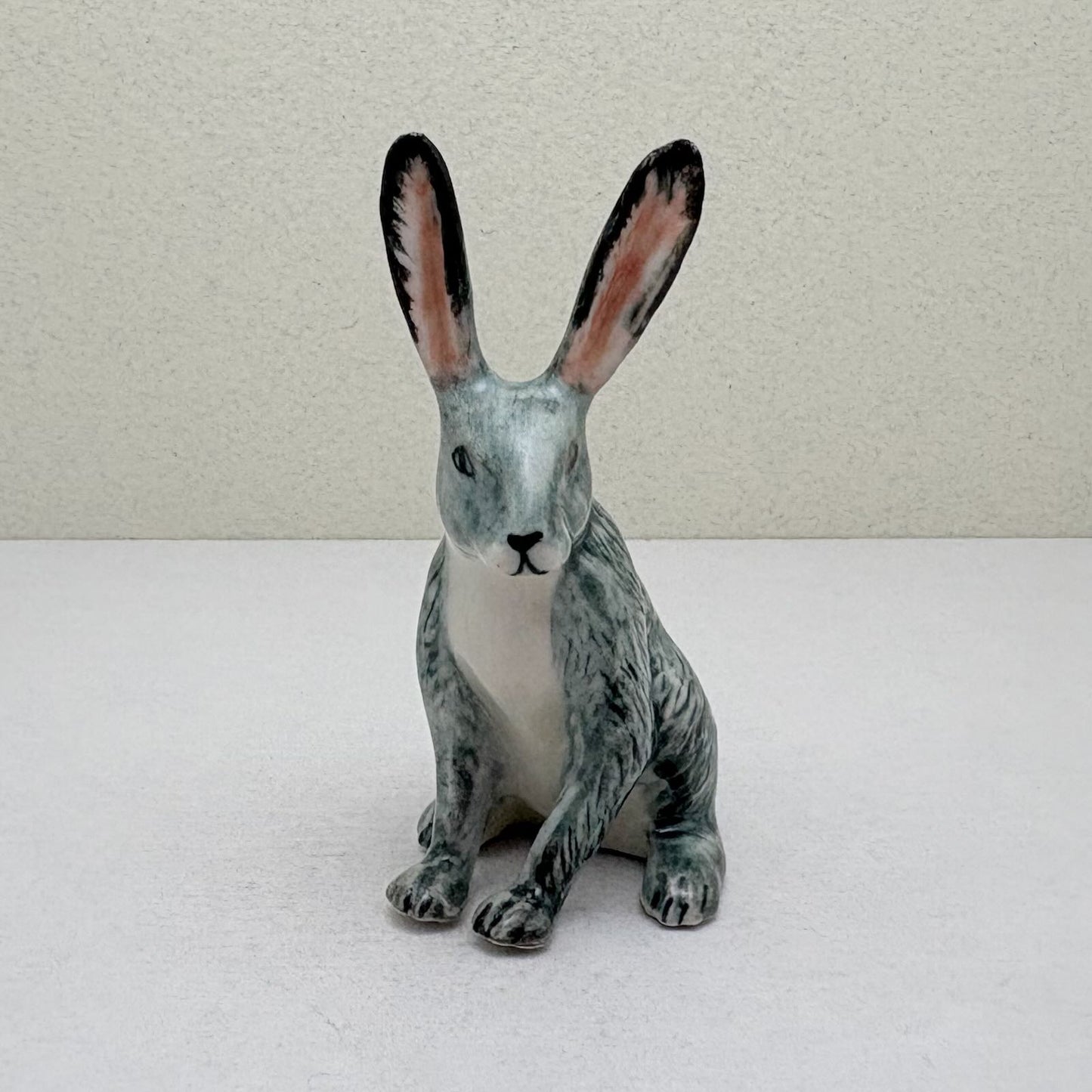 Alert-Eared Sitting Hare