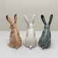 Alert-Eared Sitting Hare