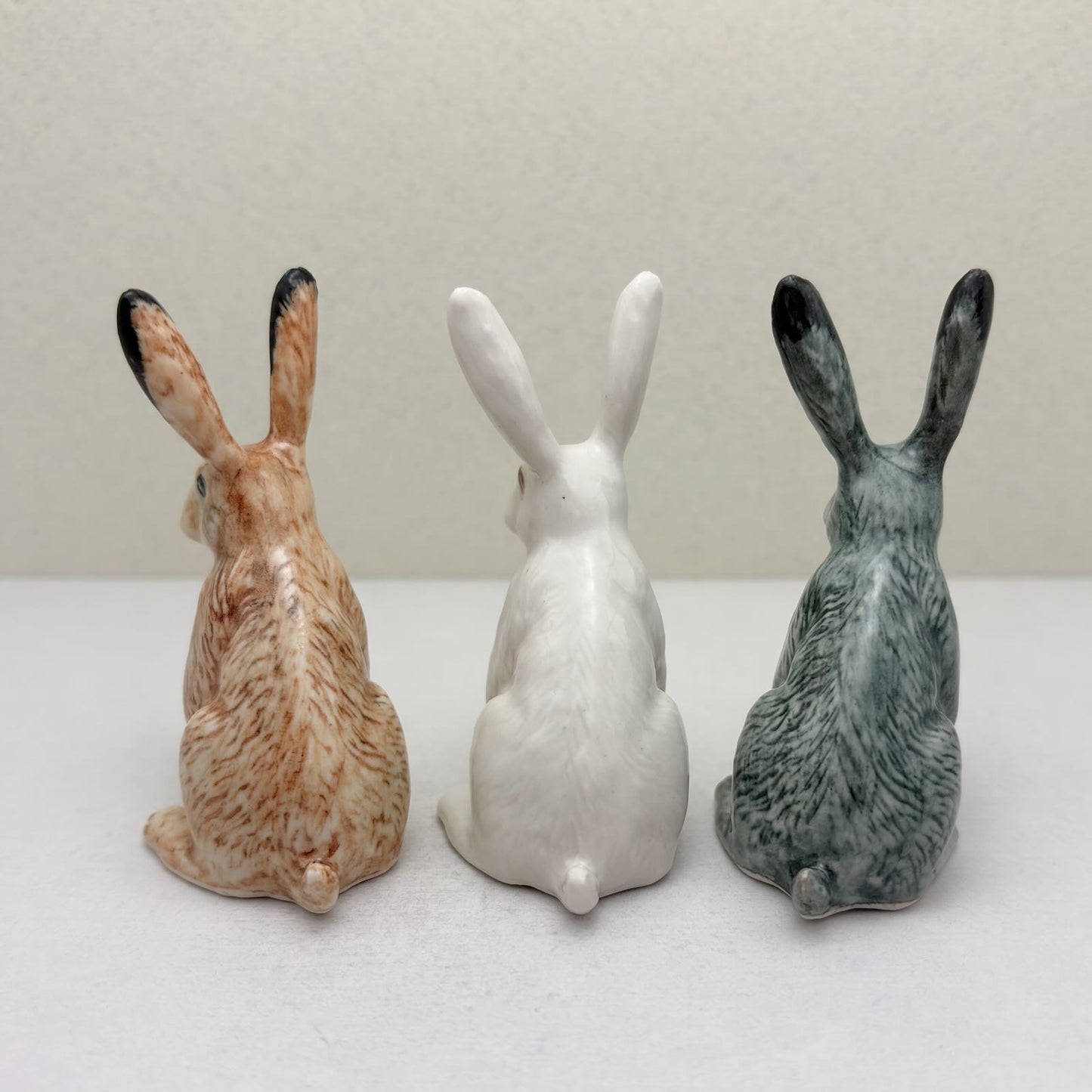 Alert-Eared Sitting Hare