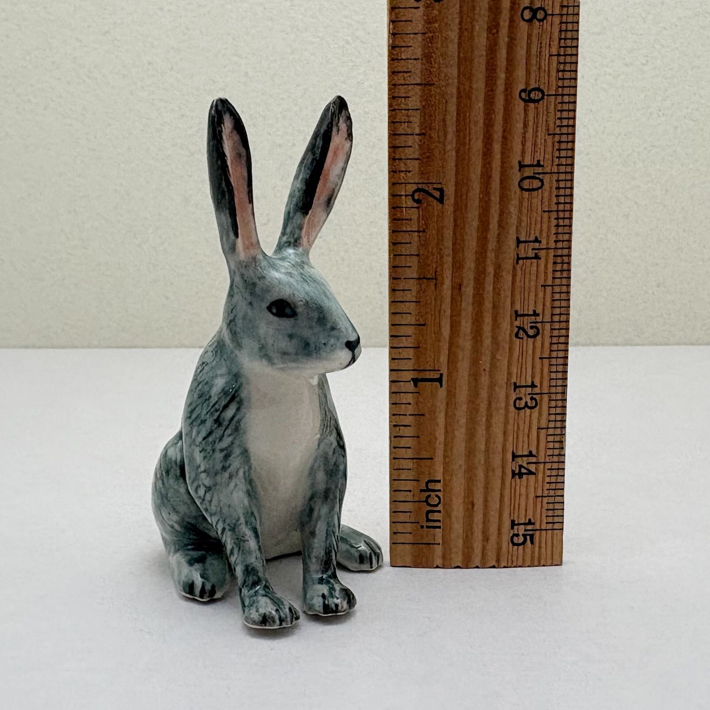 Alert-Eared Sitting Hare