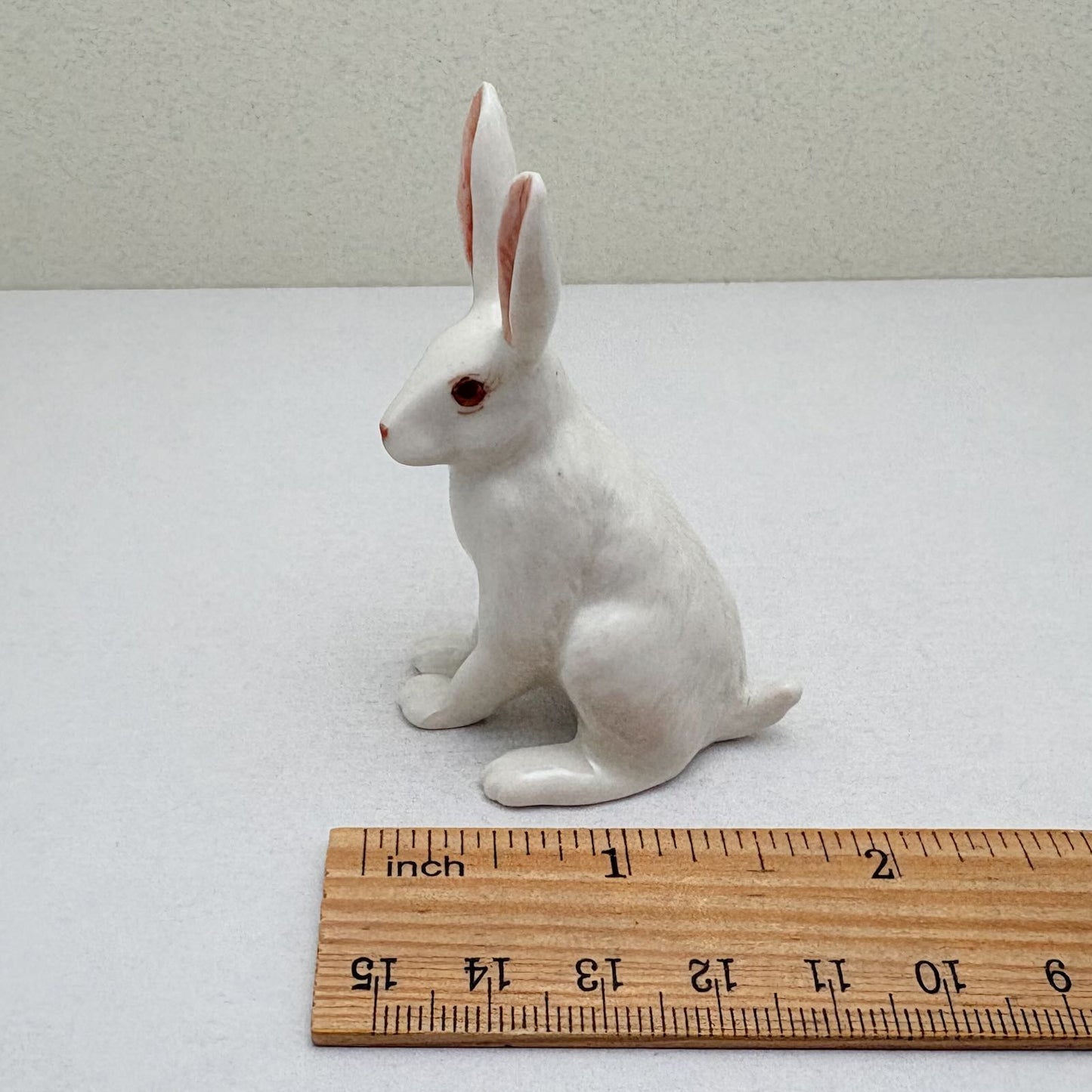 Alert-Eared Sitting Hare