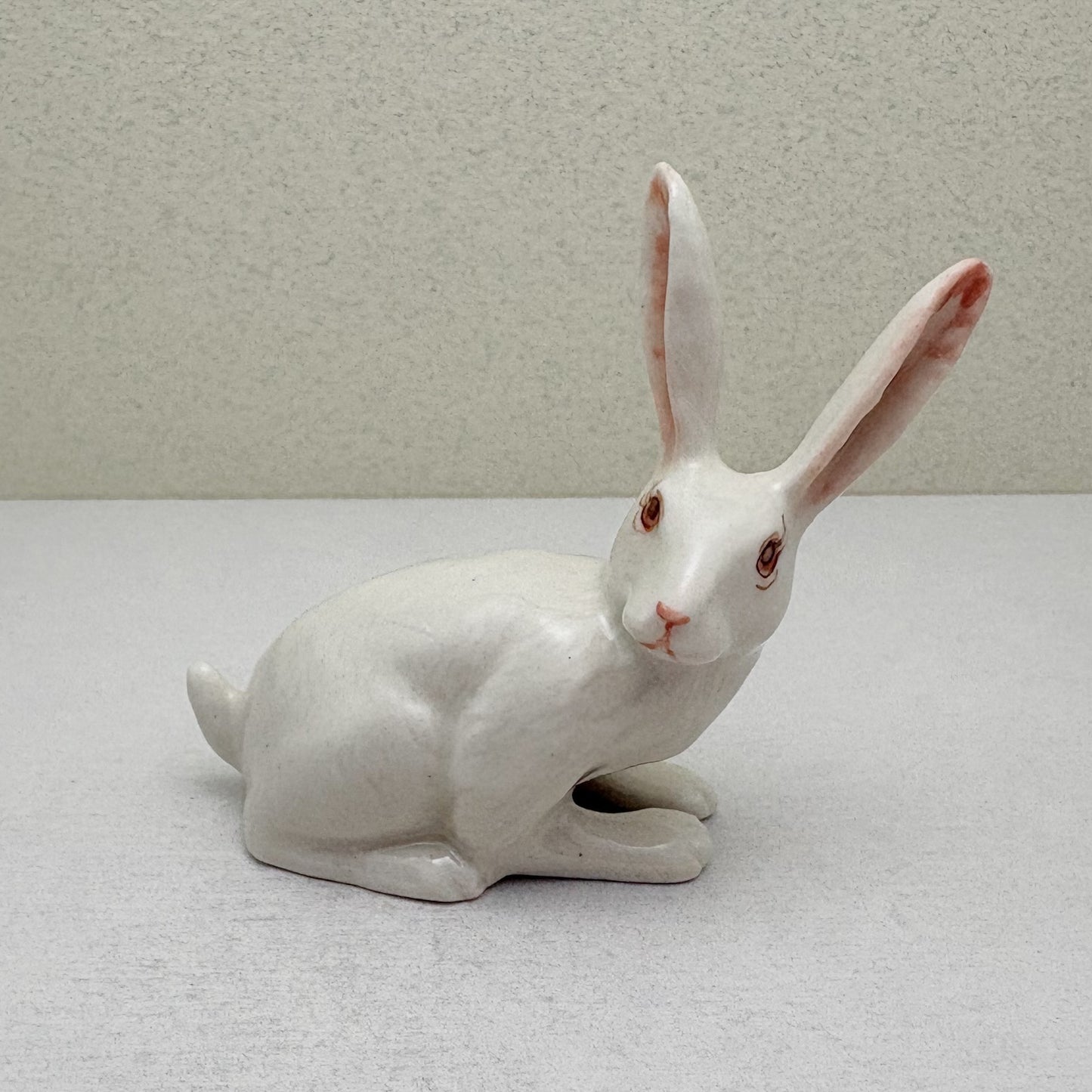 Alert-Eared Hare