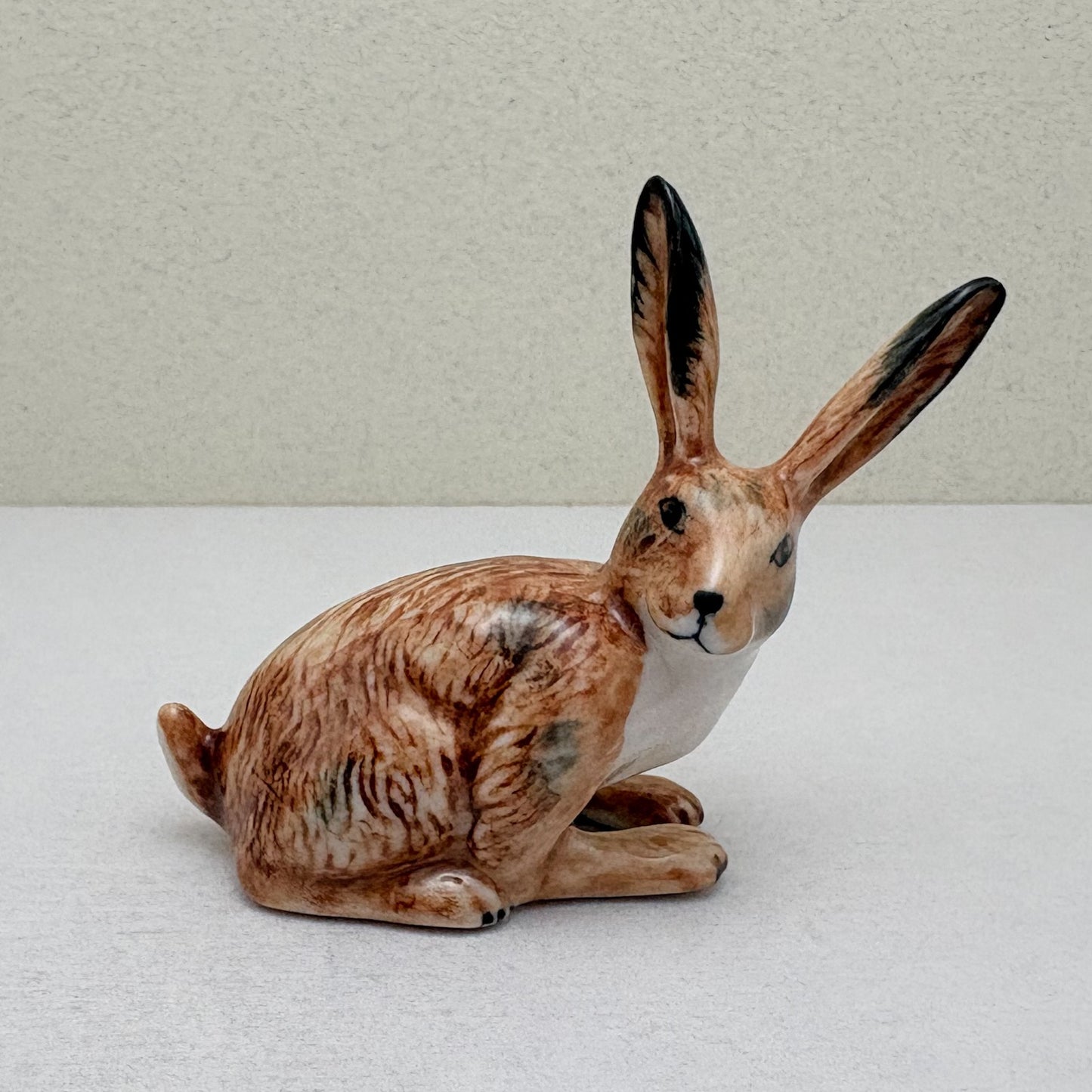 Alert-Eared Hare