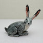 Alert-Eared Hare