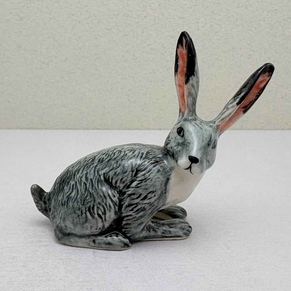 Alert-Eared Hare