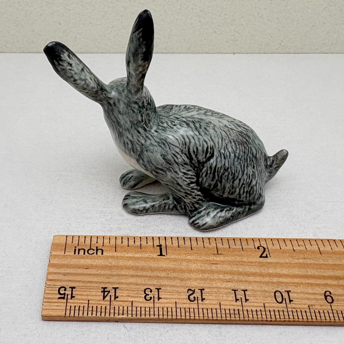 Alert-Eared Hare