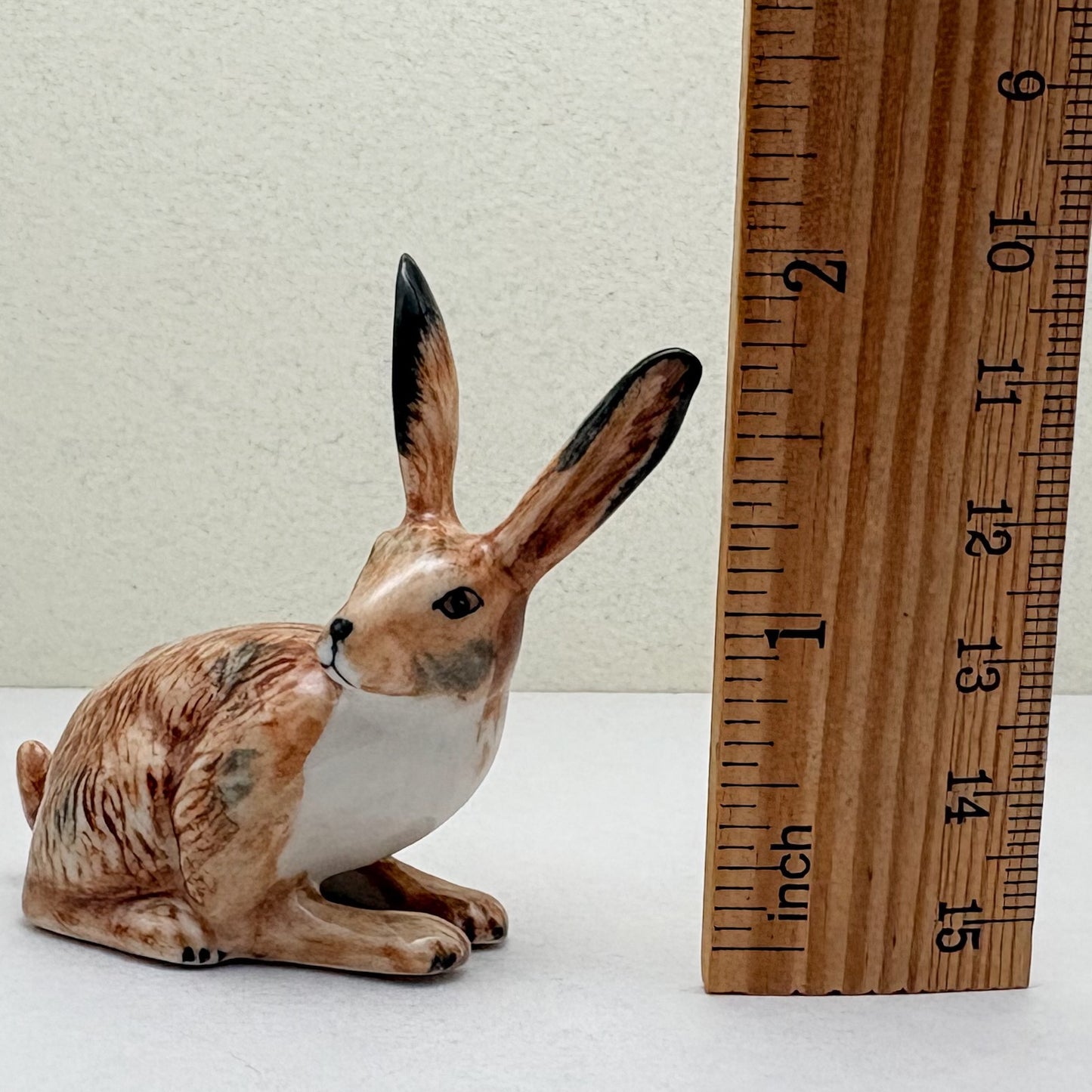 Alert-Eared Hare