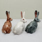 Alert-Eared Hare