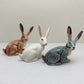 Alert-Eared Hare
