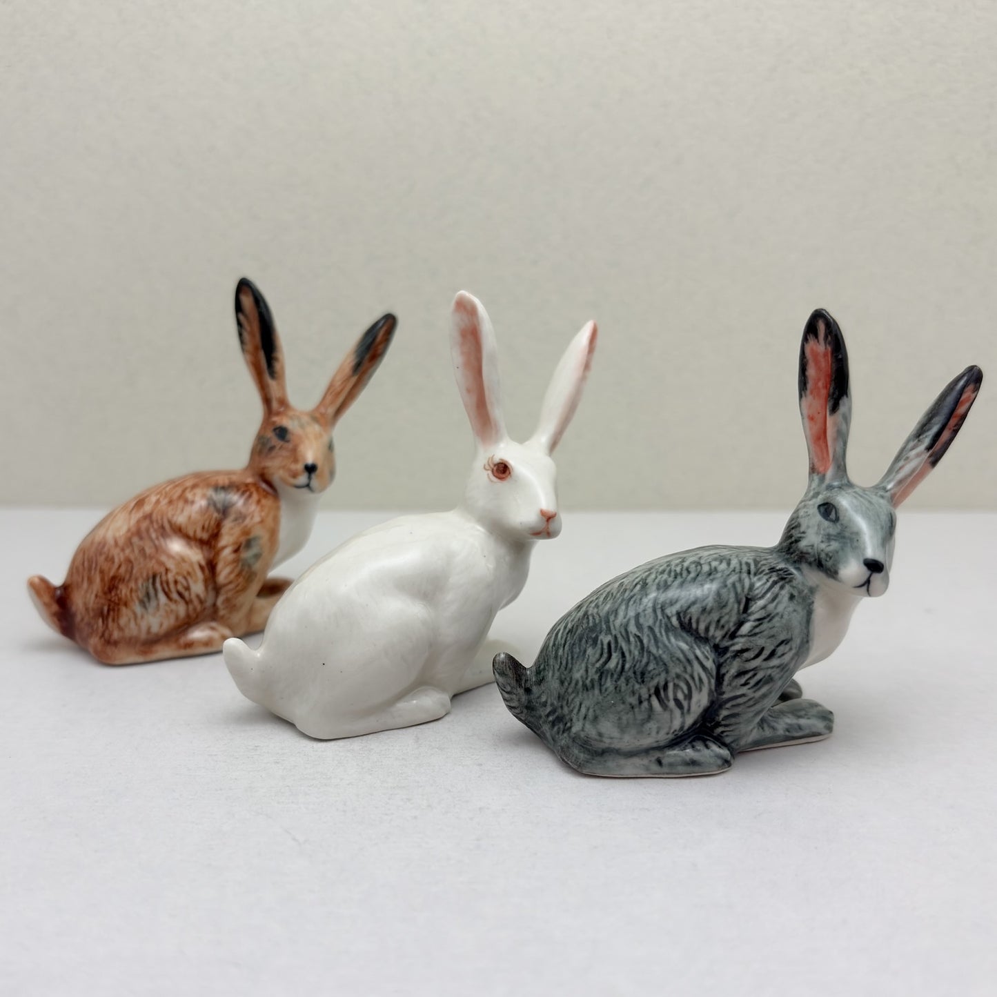 Alert-Eared Hare