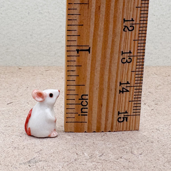 Curious White Mouse