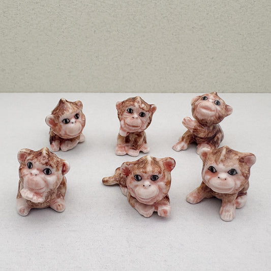 The Cheeky Chimpettes
