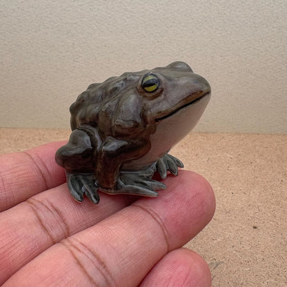 The Sentinel Toad