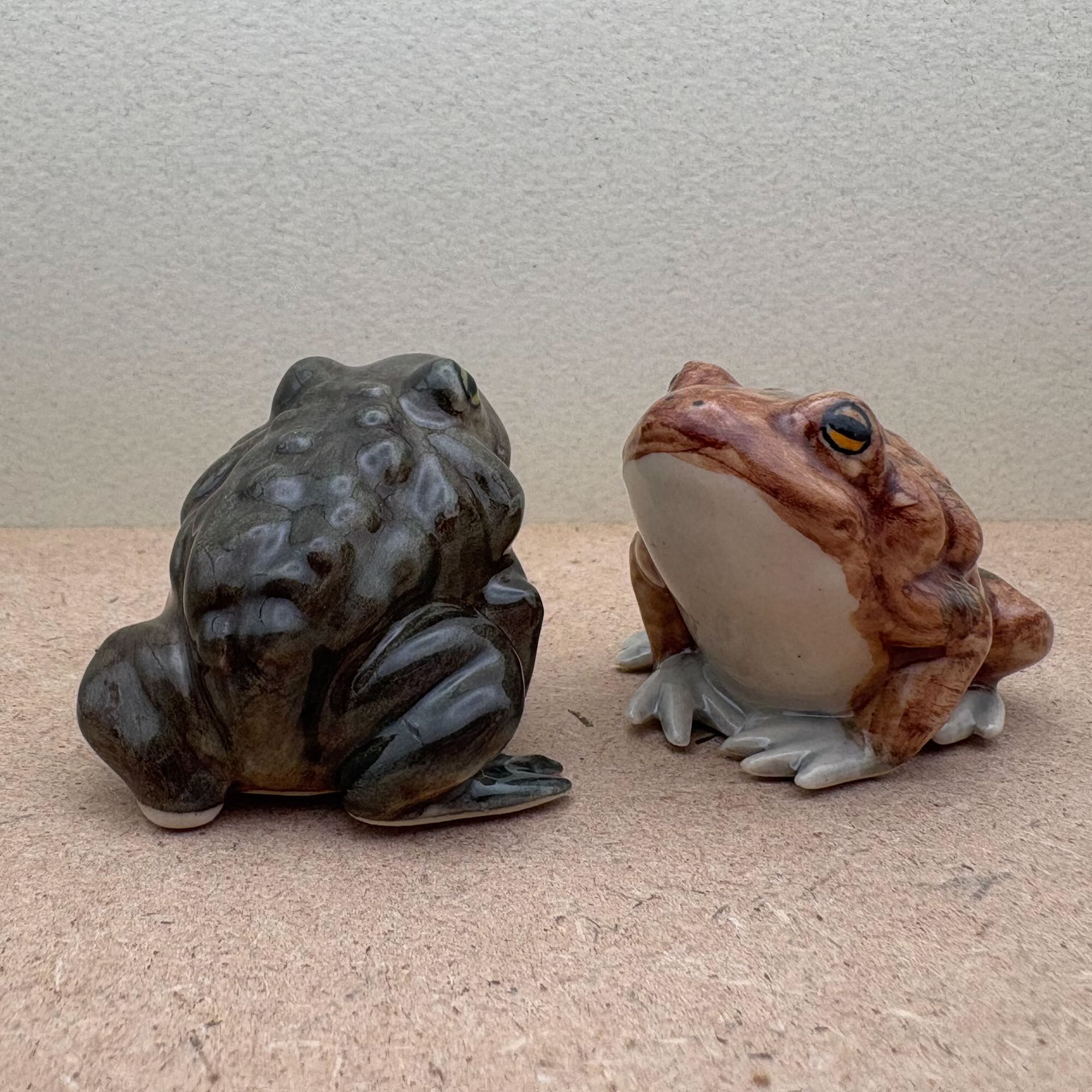 Amphibian & Reptiles – MarkSister