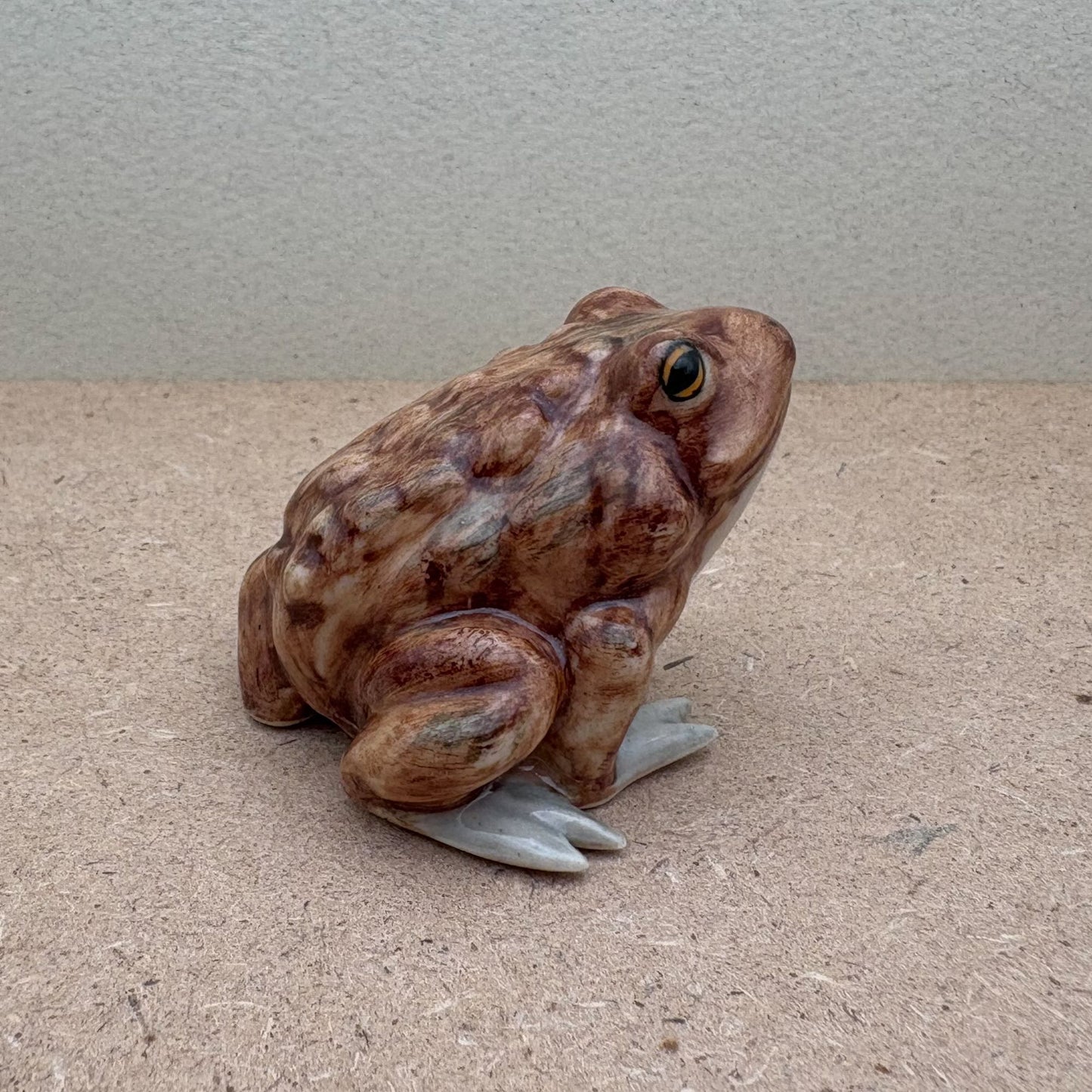 The Sentinel Toad