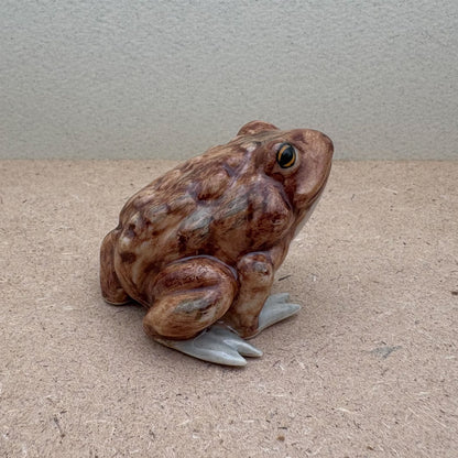 The Sentinel Toad
