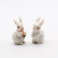 2 Tiny Rabbits