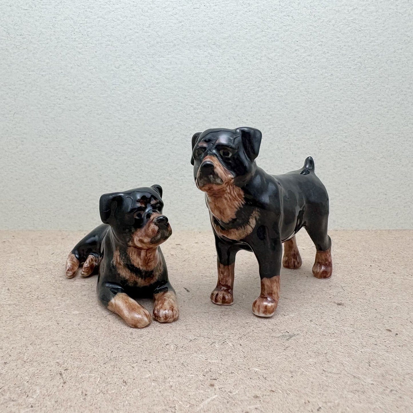 Rottweiler Family