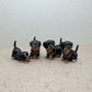 Rottweiler Family
