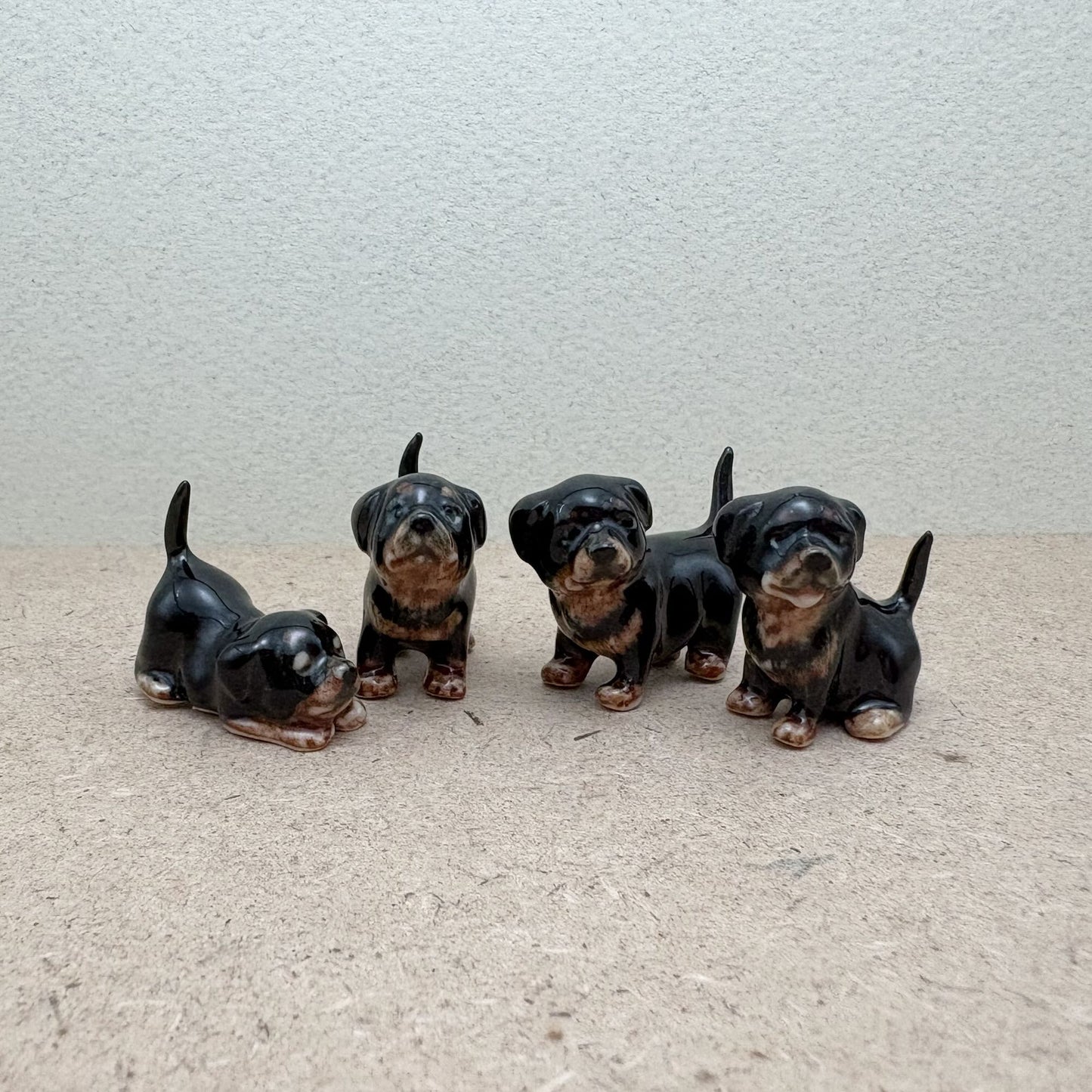 Rottweiler Family