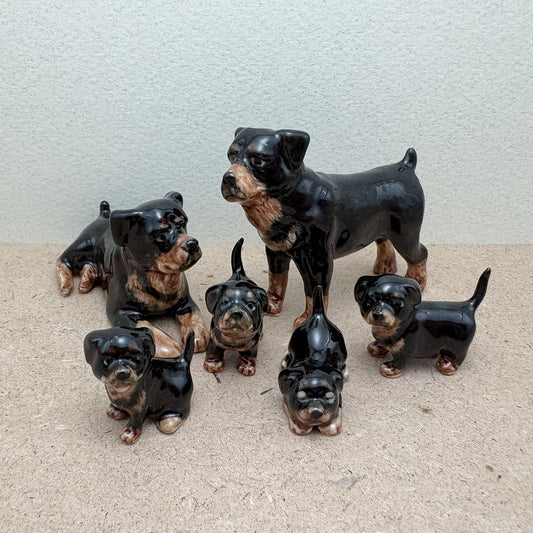Rottweiler Family