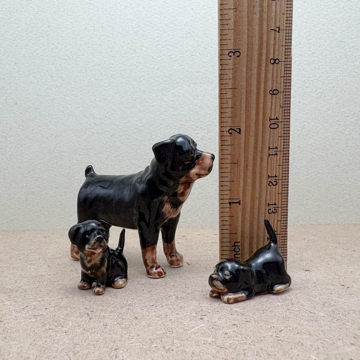 Rottweiler Family