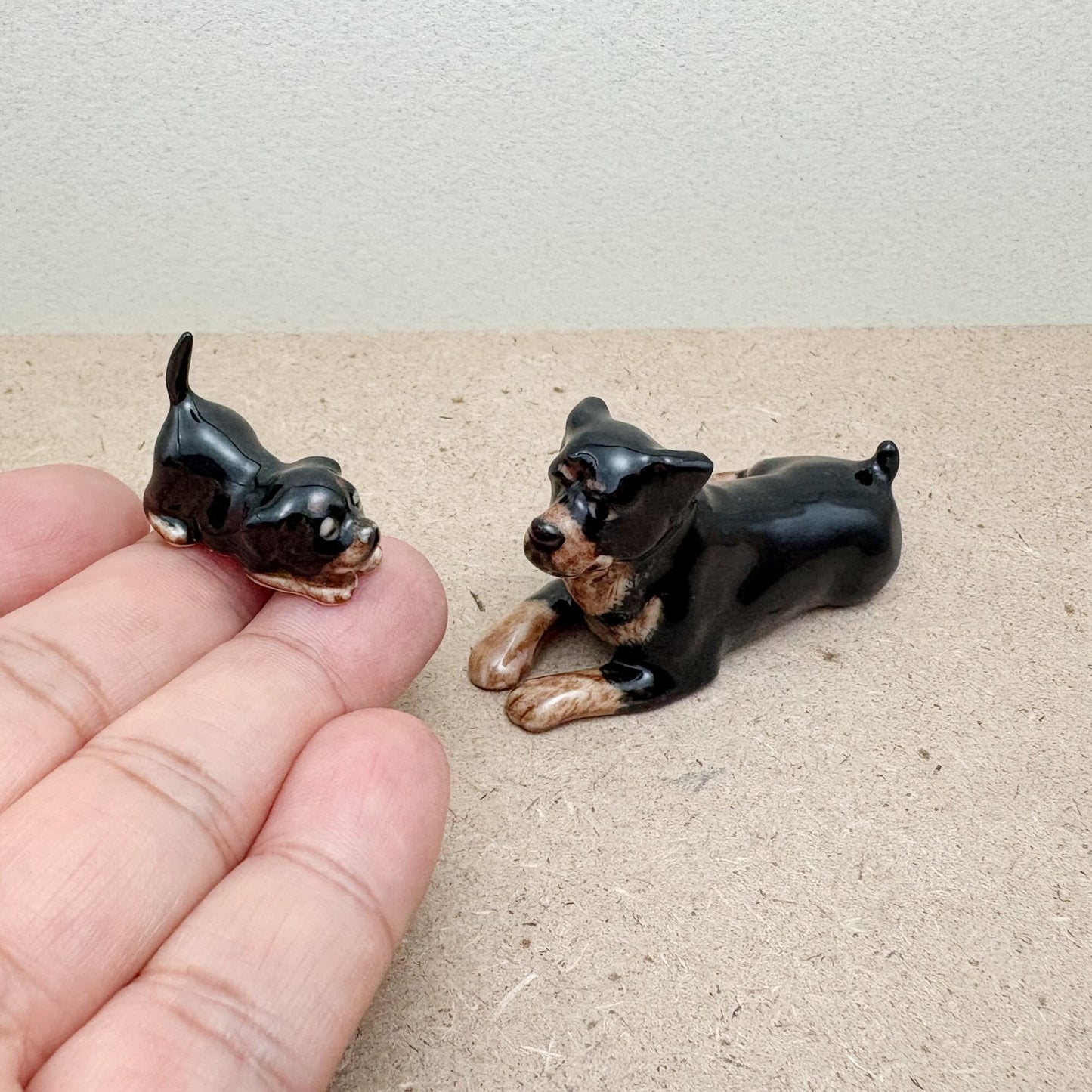 Rottweiler Family