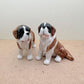 St. Bernard Ceramic Salt & Pepper Shaker Set