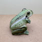 Frog Salt & Pepper Shaker Set