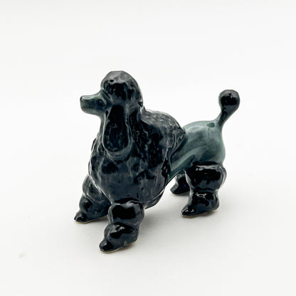 Black Poodle, 4 Poses available
