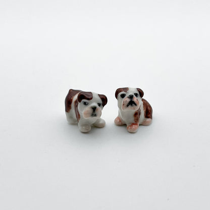 2 Tiny Bulldog