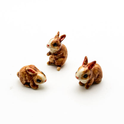 3 Tiny Rabbits