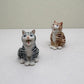 singing Tabby Cat
