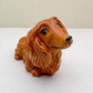 Long-Haired Dachshund