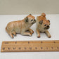 Classic Fawn Pugs