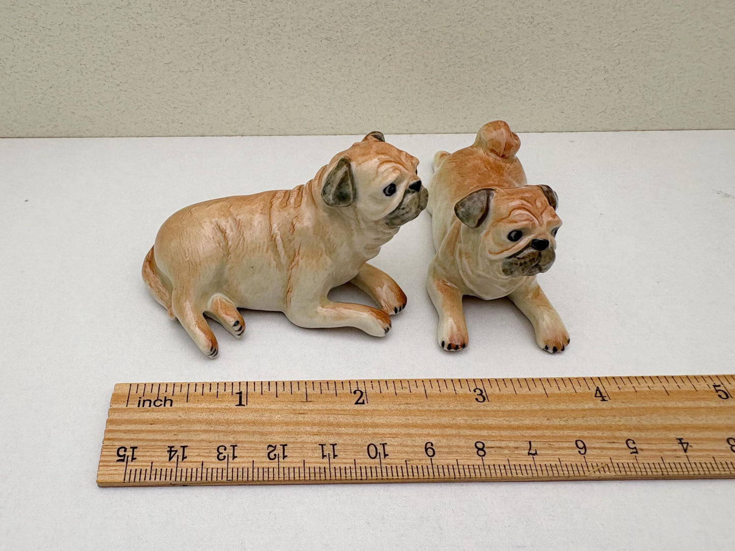 Classic Fawn Pugs