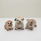 3 Bulldog Puppies