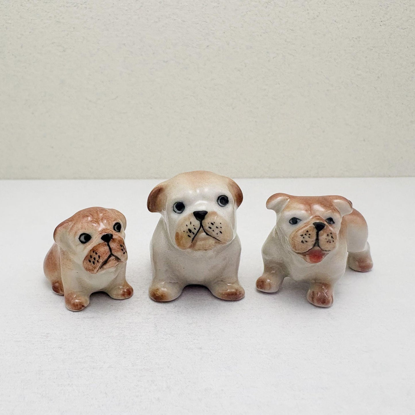 3 Bulldog Puppies