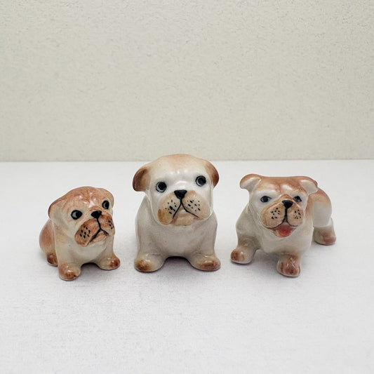 3 Bulldog Puppies