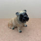 2 Shar Pei